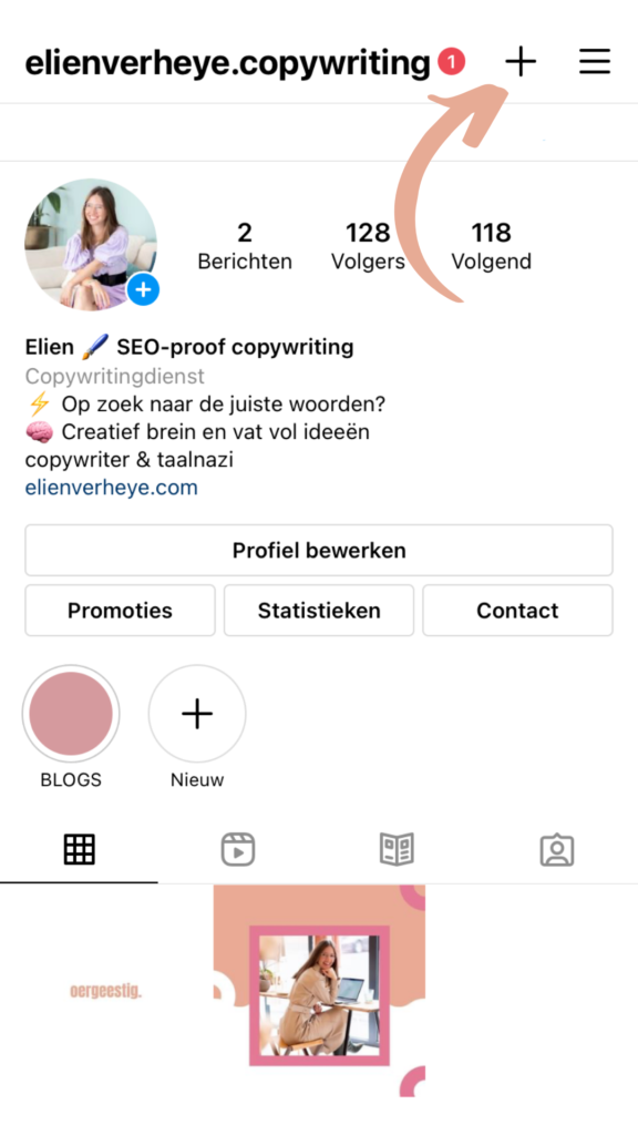 accountoverzicht instagram gidsen